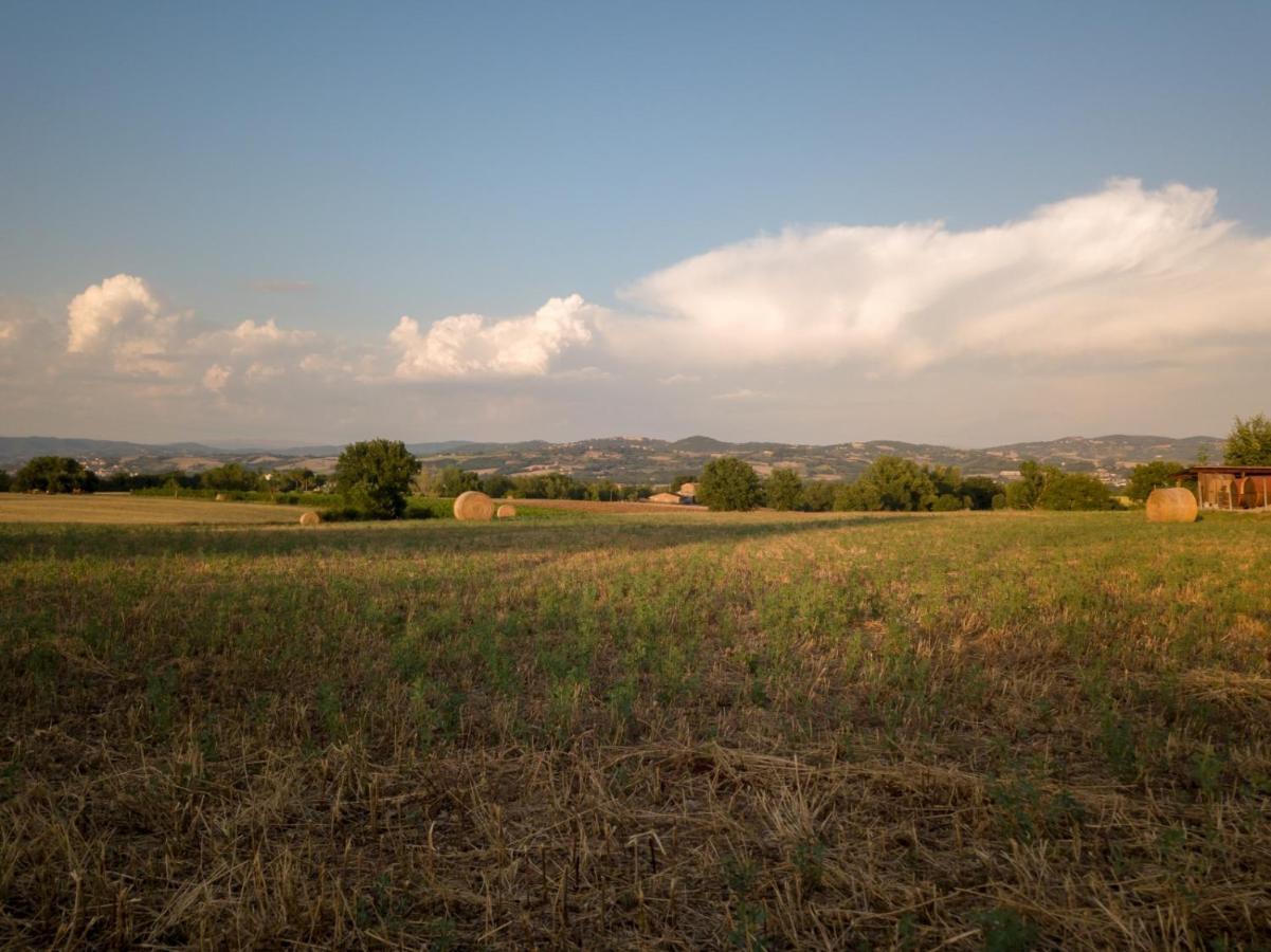 Agriturismo Consalvi Valentina Marsciano Kültér fotó